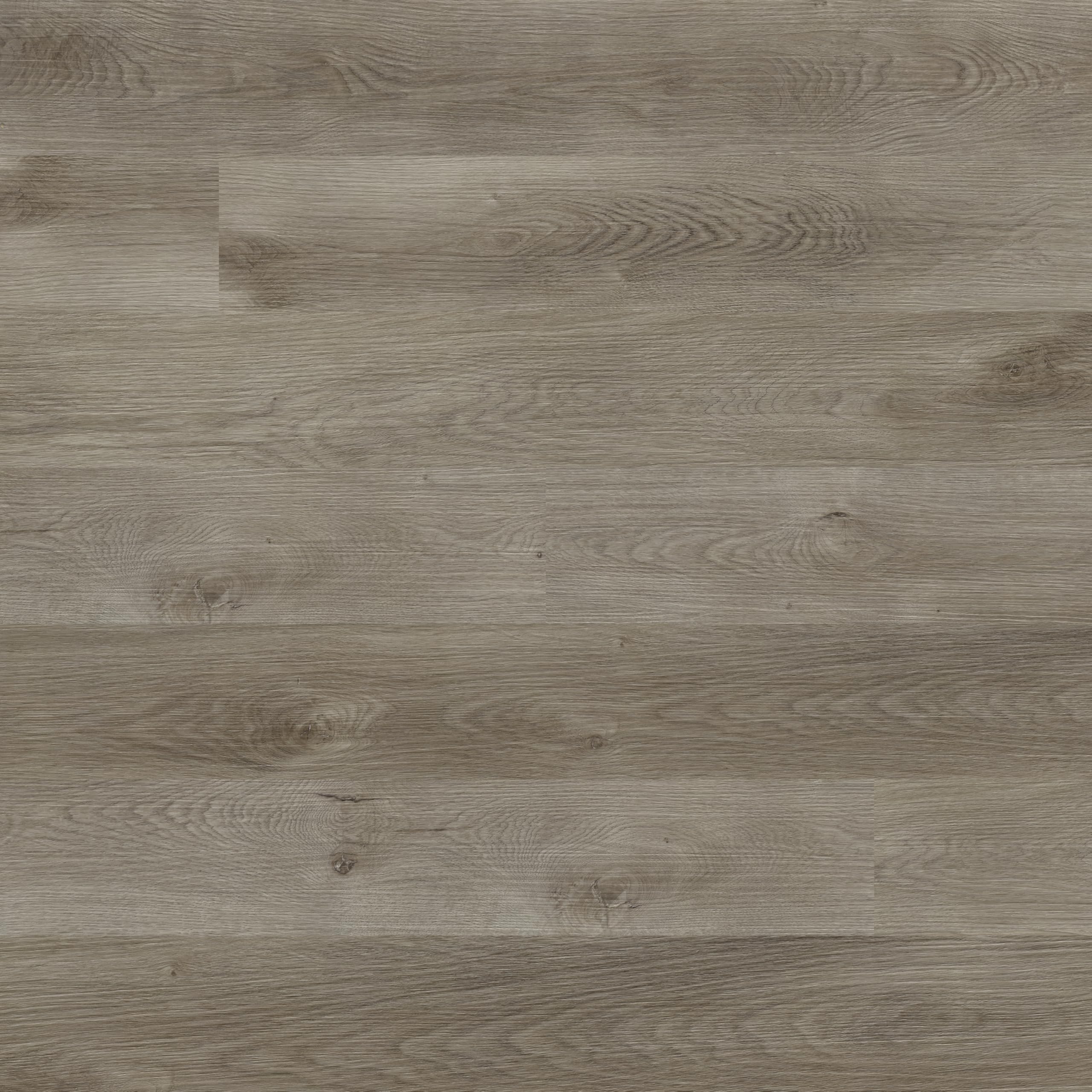 Photo 1 of MSI Pelican Gray 7 in. x 48 in. x 30 MIL Luxury Vinyl Flooring, Rigid Core Planks, LVT Tile, Click Lock Floating Floor, Waterproof LVT, Wood Grain Finish, 23.77 Square Feet Per Box
