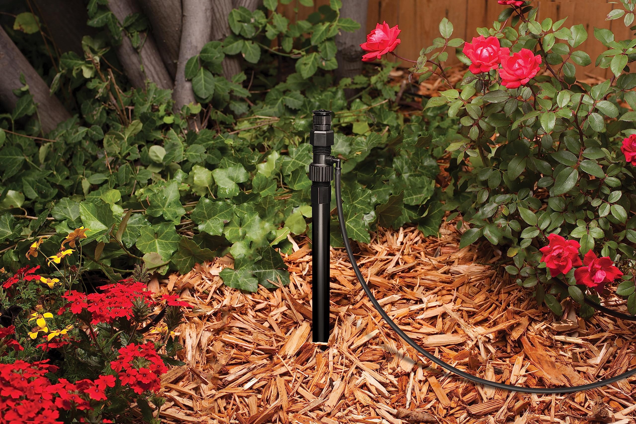 Drip Line With Riser Mua Rain Bird RISMAN1S Drip Irrigation Riser Adapter Drip and Sprinkler ...