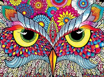 Buffalo Games - Vivid Collection - Owl Eyes - 1000 Piece Jigsaw Puzzle