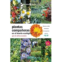 Plantas compañeras del huerto: guía de cultivos asociados: 16 ...