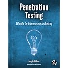 Penetration Testing: A Hands-On Introduction to Hacking