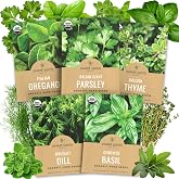 Organic Herb Seeds Variety Pack - 5 Individual Packs - 2026 Season - Basil, Oregano, Dill, Thyme &amp; Parsley. for Indoor &amp; Outdoor Planting (Non-GMO, Certified Organic)