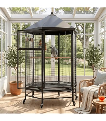 Amazon.com : Flyline Parrot Escape Jumbo Corner Bird Cage Aviary