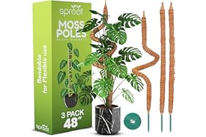 SPROOT 48 Inch Bendable Moss Pole (3-Pack) Monstera Plant Support Stakes for Indoor Plants - Tall Moss Stick Trellis for Potted Climbers - Stem Support Accessories for Climbing Houseplants