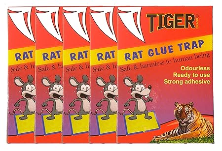 MMR Rat Glue Trap, 13x4 Inches (Black) - Set of 5