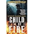 Child of Fire: A Twenty Palaces Novel