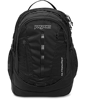jansport wynwood backpack