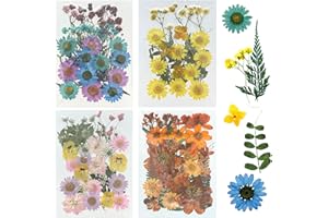 Woohome 110PCS Real Pressed Flowers, Dried Pressed Flowers Colorful Real Pressed Flowers for Resin Nail Art Scrapbooking Candle Jewelry Making Real Dried Pressed Flowers Resin Supplies Kit
