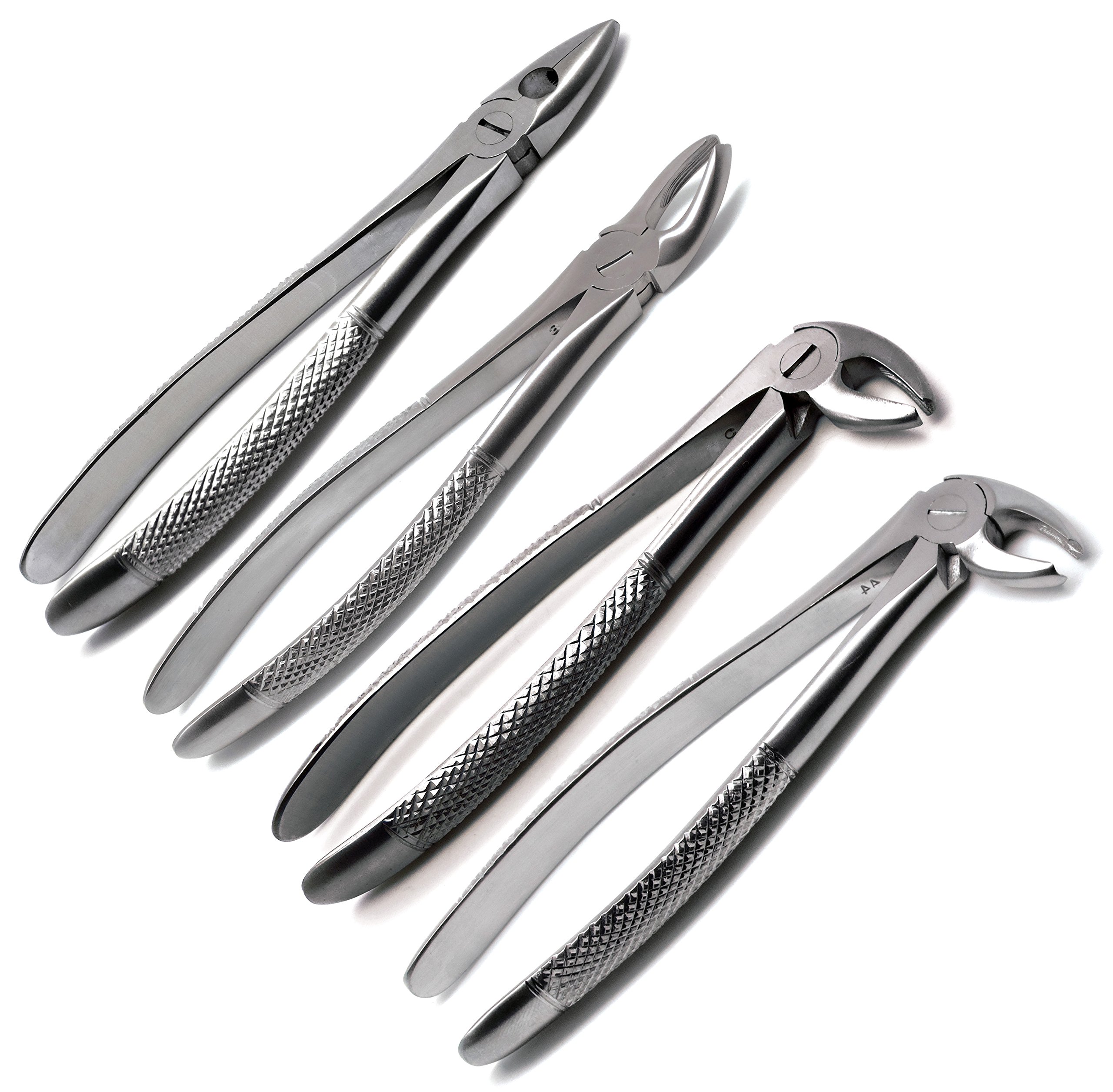 Dental Forceps 23, 65, 150, 151, 150s, 151s, 88L, 88R, Md1, Md2, Md3