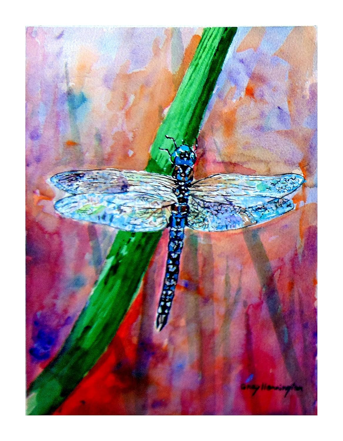 Get Wall Print Blue Dragonfly Amazon Ca Handmade Desktop Wallpaper Wallpaper Wall Print Blue Dragonfly Amazon Ca Handmade For iPhone Free