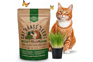 Organo Republic Cat Grass Seeds Mix - 20,800 Non-GMO Heirloom Seeds for Cats & Pets, 16 oz Pack for Growing Fresh Barley, Oat, Rye & Wheat Grass Seeds for Planting, Indoor Plants, Hairball Remedy