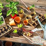 Holzsammlung 14Pcs Mini Garden Tools Set Bonsai & Succulent Kit view 4