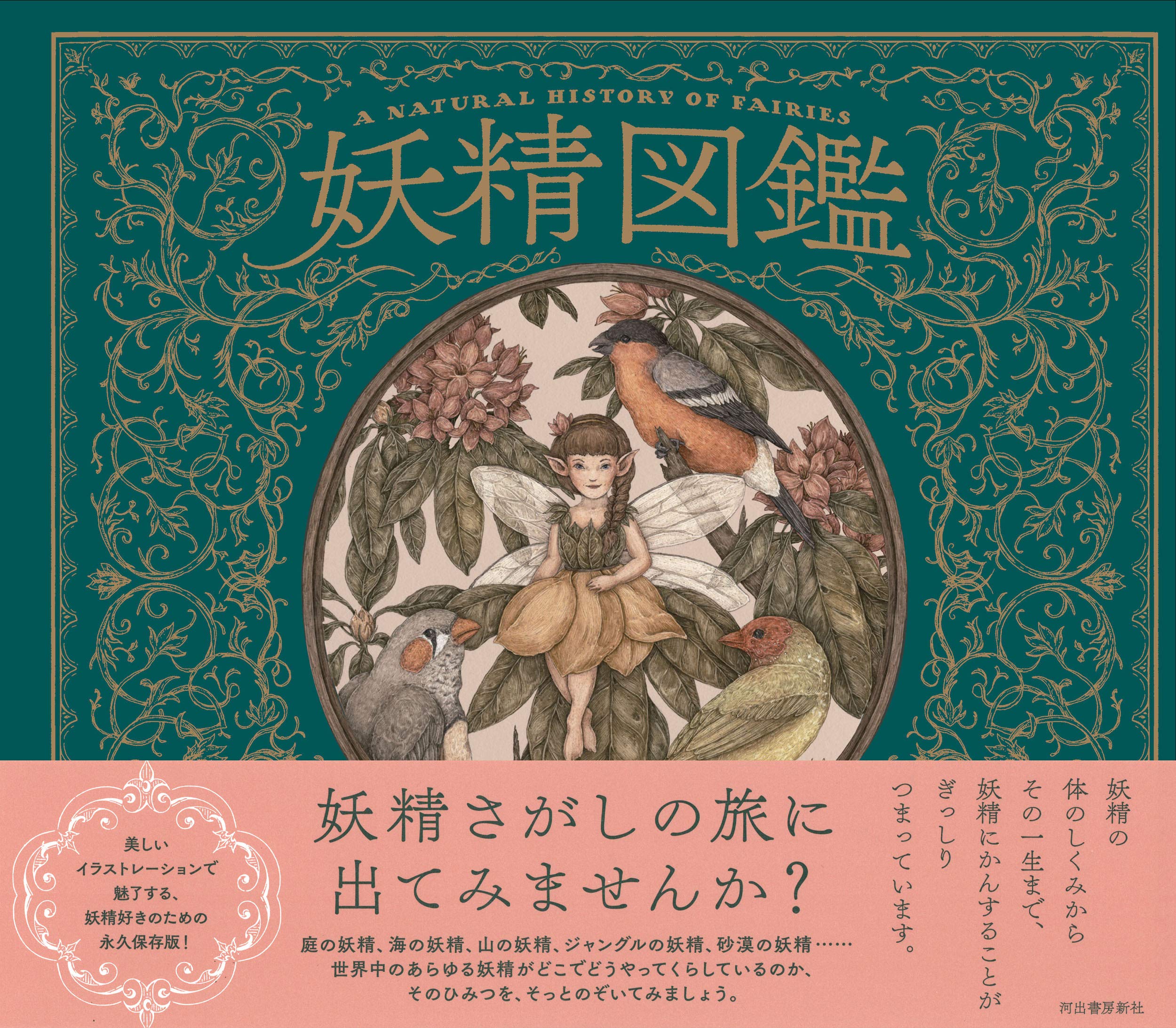 妖精図鑑 エミリー ホーキンス ジェシカ ルー 小林玲子 本 通販 Amazon