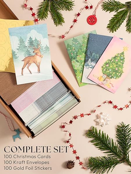 Chrstmas Cards Wth Envelopes - Holday Cards Wth Envelopes - Boxed Chrstmas Cards Bulk Set - View #11