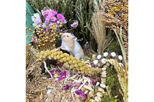 BONNEVIE Natural Hamster Bedding Edible Flowers Herbs Sprays Treat Cereal Grain For Cage Habitat Enclosure Decor Hamster Chews For Dwarf Syrian Gerbils Mice Mouse Rat Forage Pet Hamster Accessories Supplies