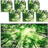 Hortsun 6 Pcs Fluorescent Light Covers - 4 x 2 Feet Magnetic Light Filters, Must Haves for Teacher Supplies, Ceiling Covers for Classroom Fluorescent Shade Hospitals School Office(Forest)