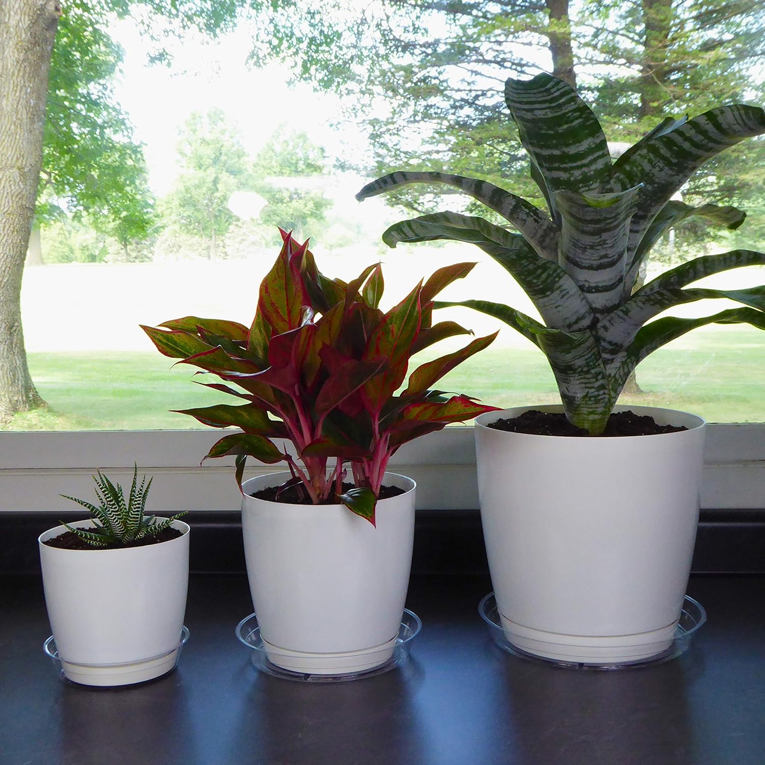YOUniversal Products 15 Pack of 6, 8, 10 Inch Clear Plant Saucer Drip Trays : Garden & Outdoor