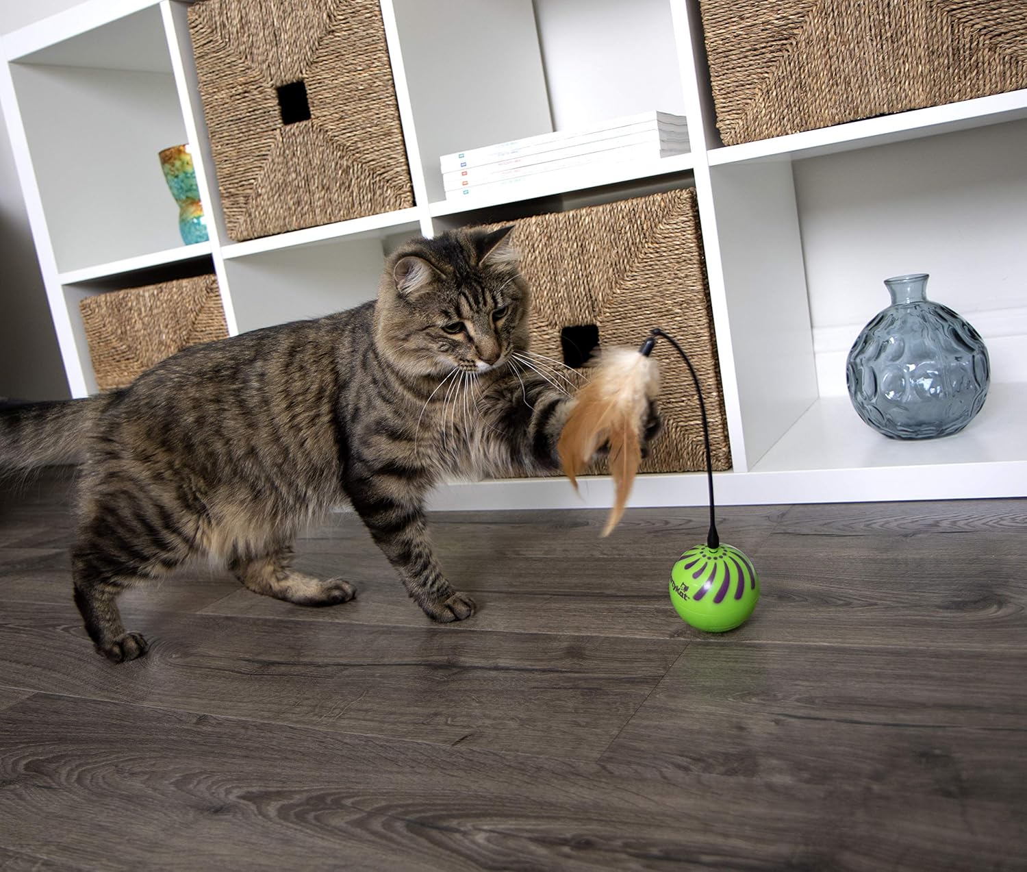 SmartyKat Feather Whirl Electronic Motion Cat Toy, As Seen On TV (9621), green : Pet Supplies