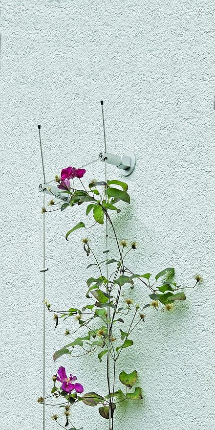 Rank Sistema GreenCable® Set 01 para plantas trepadoras con ...