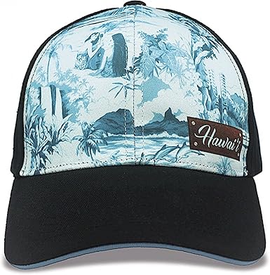 vintage hawaii hat