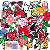 Dandan DIY 36pcs Random Assorted Styles Kid Embroidered Patch Sew On/Iron On Patch Applique Clothes Dress Plant Hat Jeans Sewing Flowers Applique DIY Accessory (Mix 36pcs)