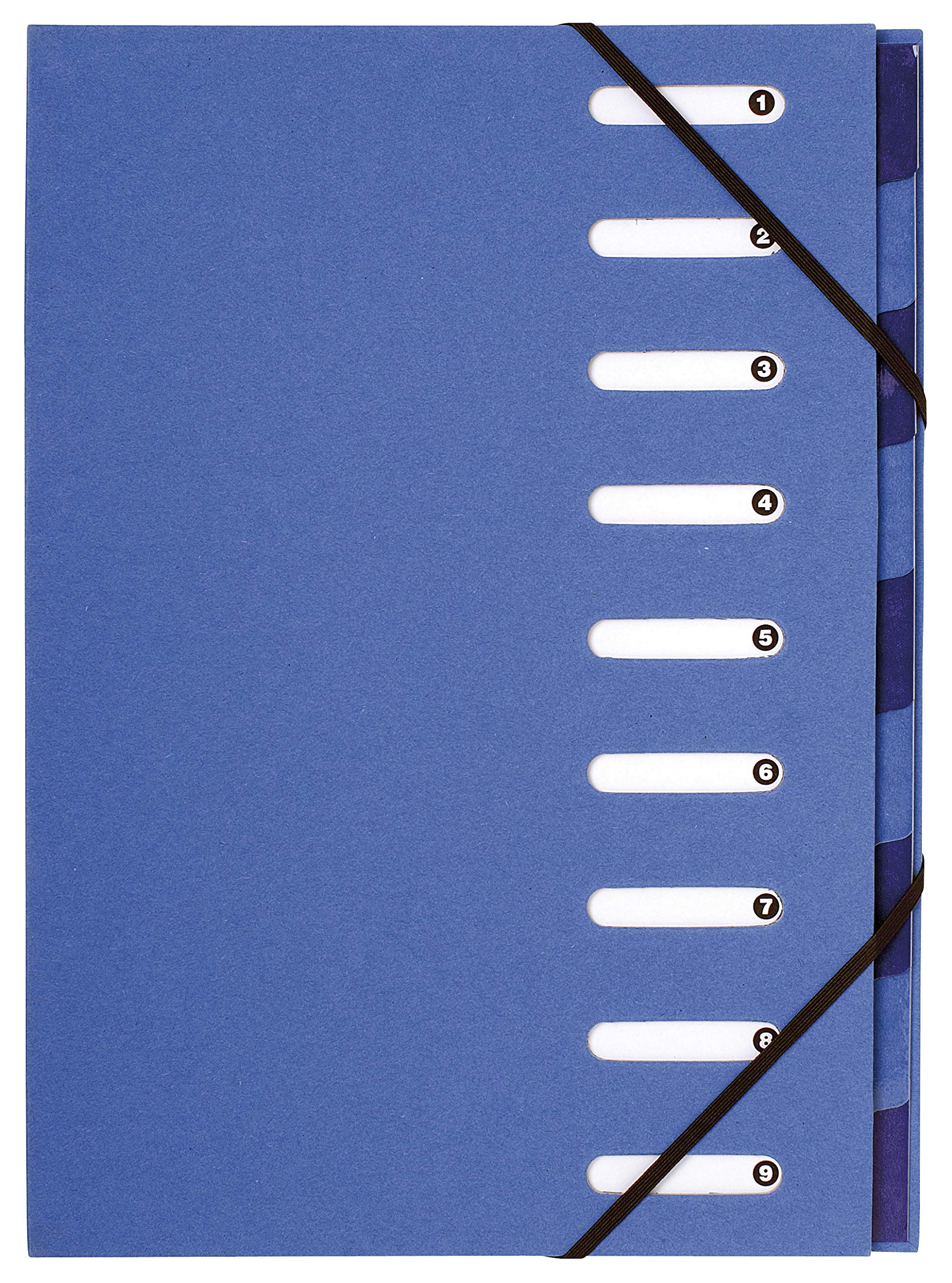 Exacompta - Ref 52982E - Forever Collection - Collection - Harmonika Expanding Multipart File - 245 x 320mm in Size, Suitable for A4 Sized Documents, Recycled Board - Blue Cover