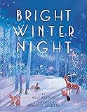 Bright Winter Night