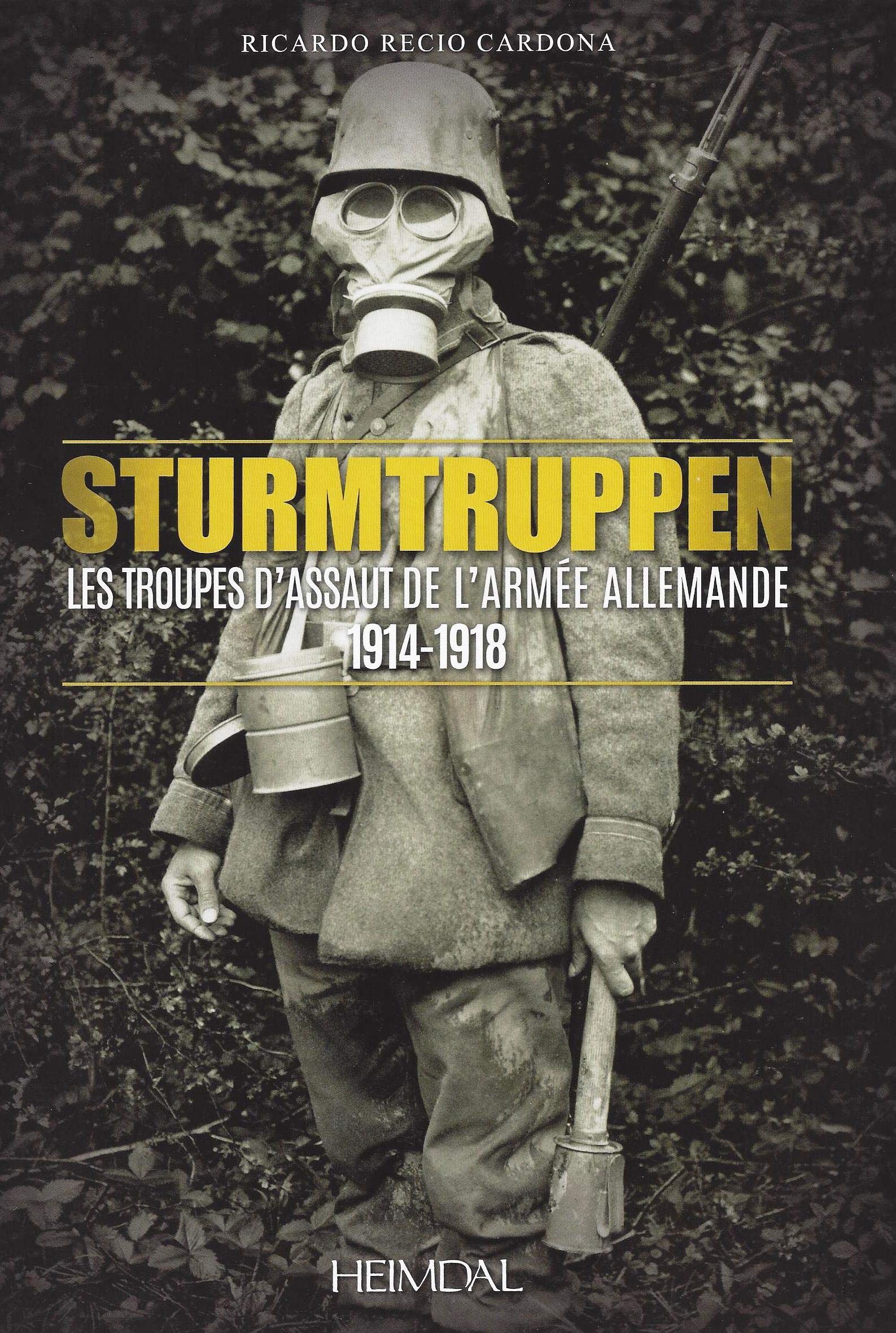 Sturmtruppen Les Troupes D Assaut De L Armee Allemande 1914 1918 French Edition Recio Cardona Ricardo 9782840484288 Amazon Com Books