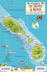 kindle best category lists