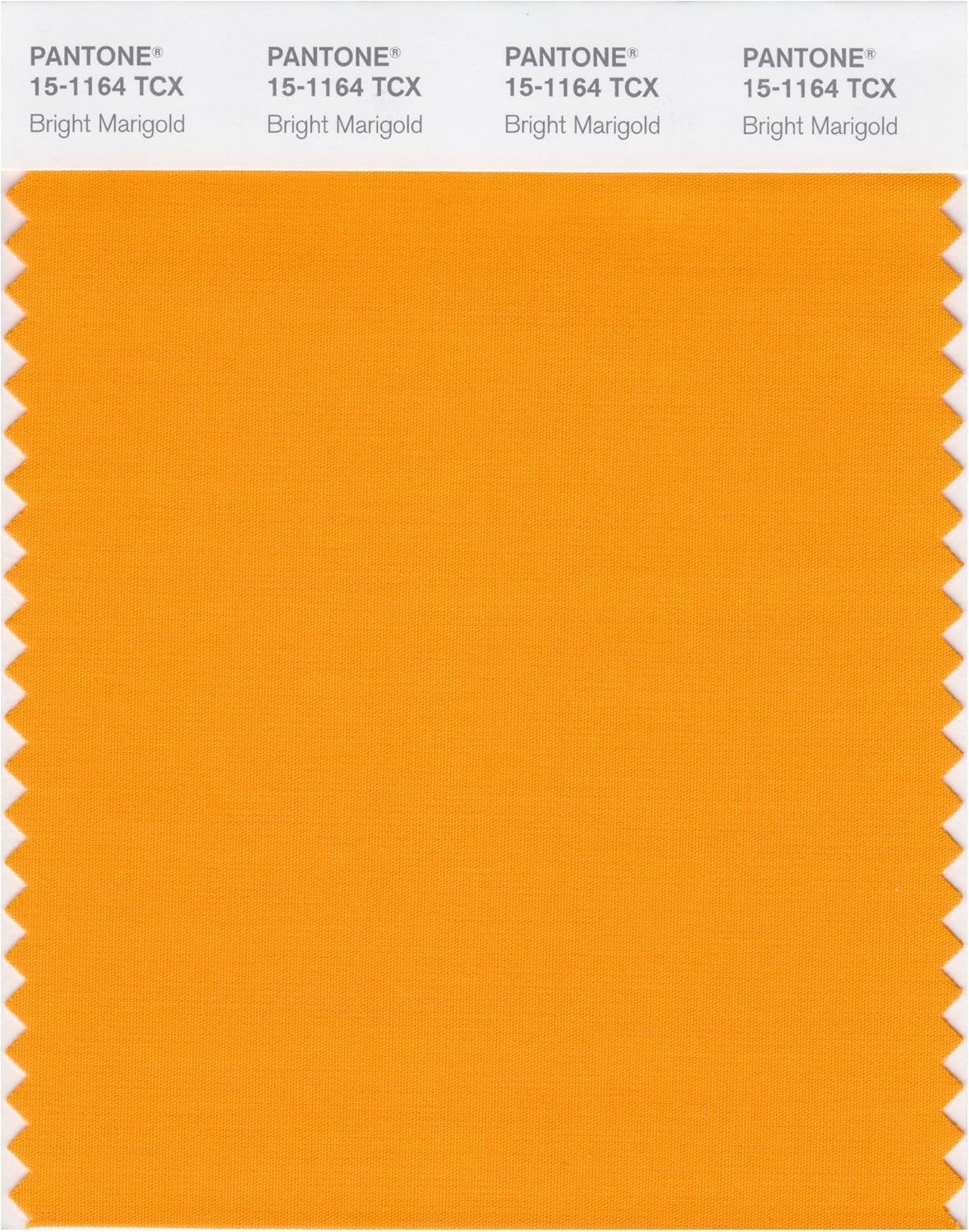 Pantone Smart 15 1164x Color Swatch Card Bright Marigold House Paint Amazon Com