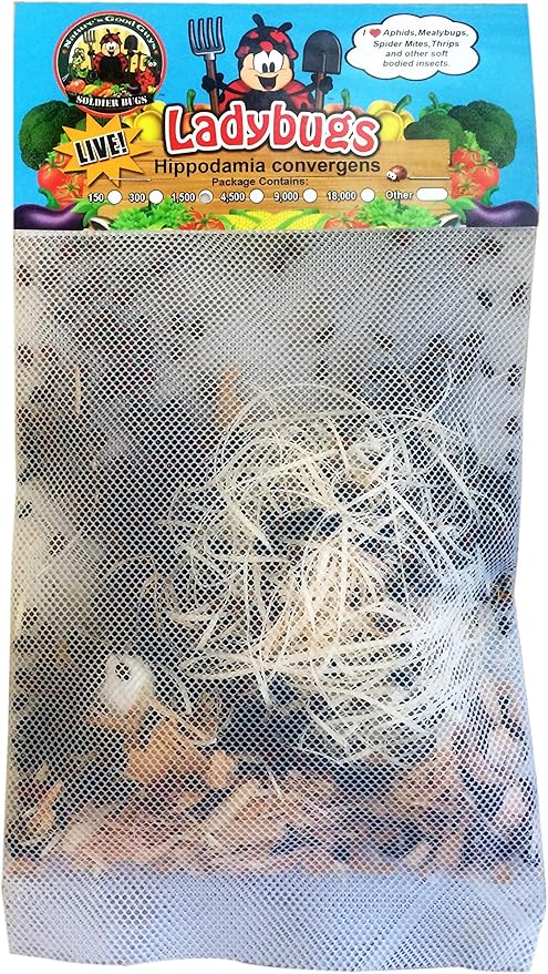 comprar mariquitas amazon