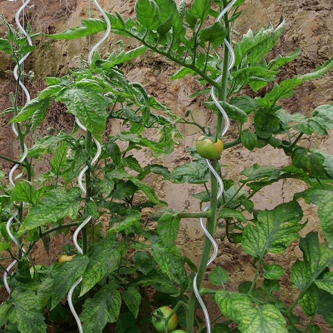 pro.tec] Set de 20 Varillas para tomatera - Tutor en Espiral para ...