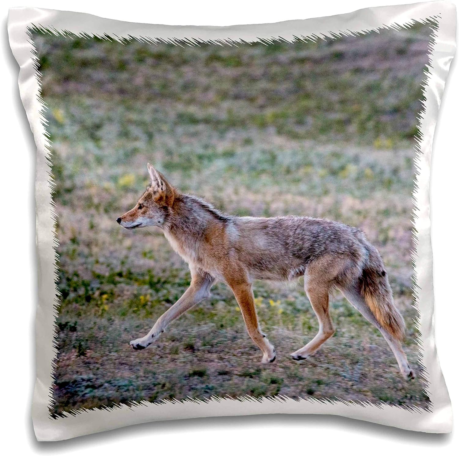 3dRose Coyote in prairie dog town in Theodore Roosevelt NP North. - Pillow Cases (pc_331859_1)