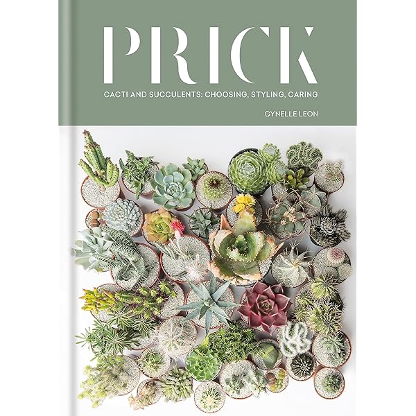 Happy Cactus: Cacti, Succulents, and More: DK: 9781465474537