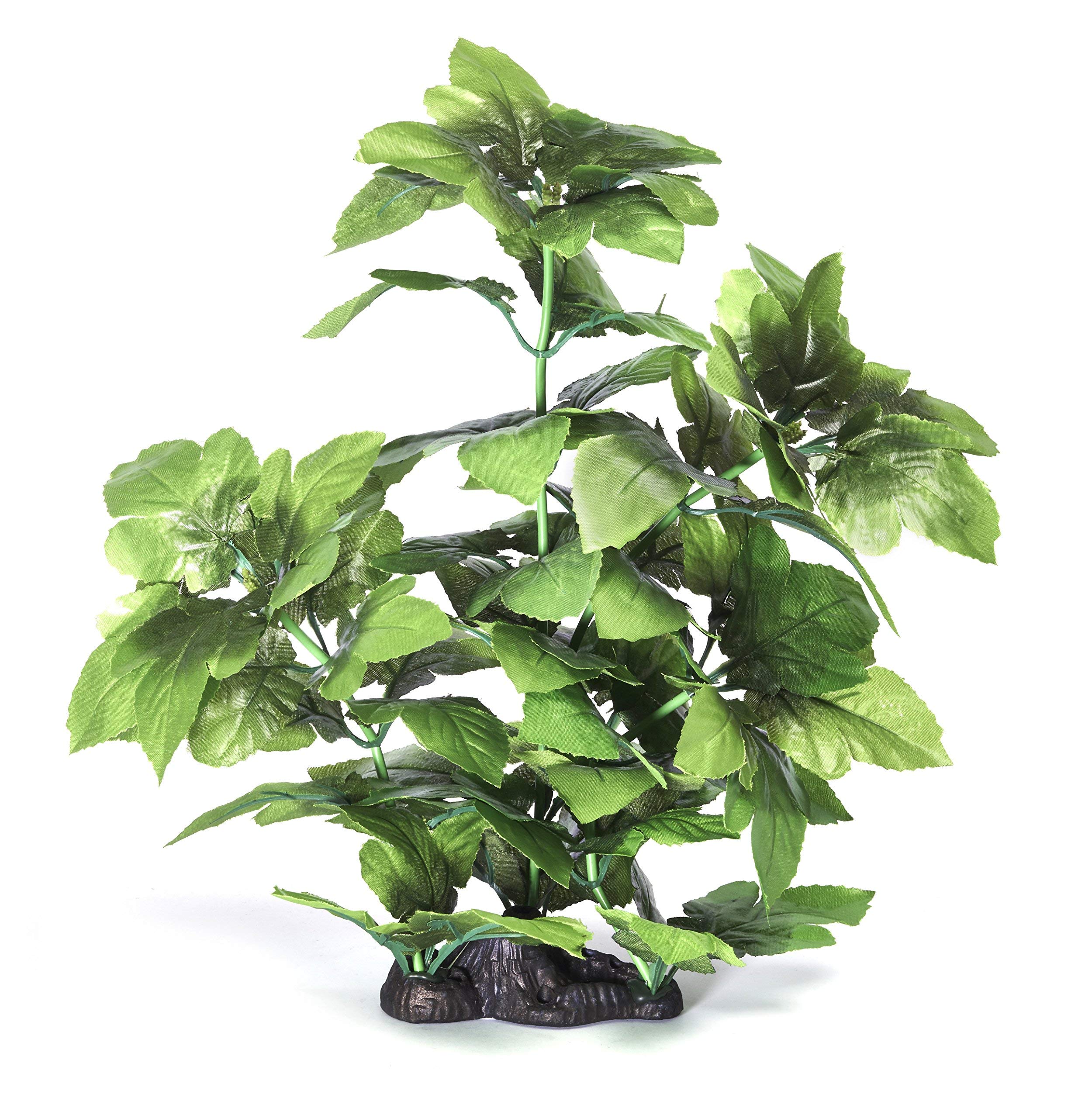 Pistachio Pet - Beautiful Aquarium Plant 16"/40cm With Base