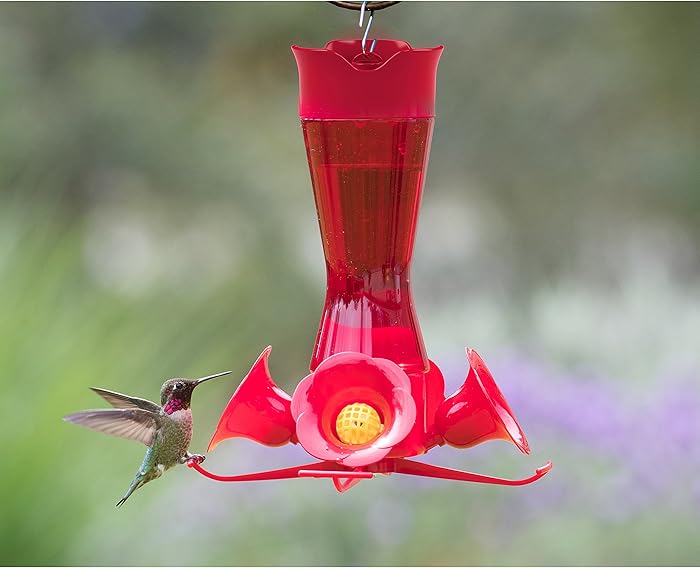 The Best Hummingbird Feeders Of 2022 Full Buyer's Guide
