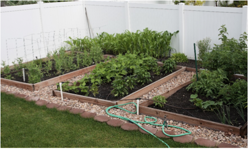 Extreme Composting A Step-by-Step Guide for Beginners
