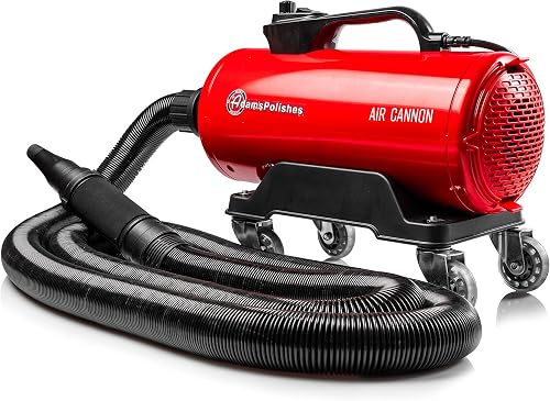 Top 8 Best Car Dryer Blowers In 2020 Review