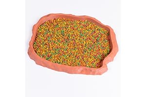 Everydayers Gecko Cave Reptile Feeding Tray – Naturalistic Pet Dish for Lizards, Snakes, Bearded Dragons, Tortoises & Turtles - Terracotta