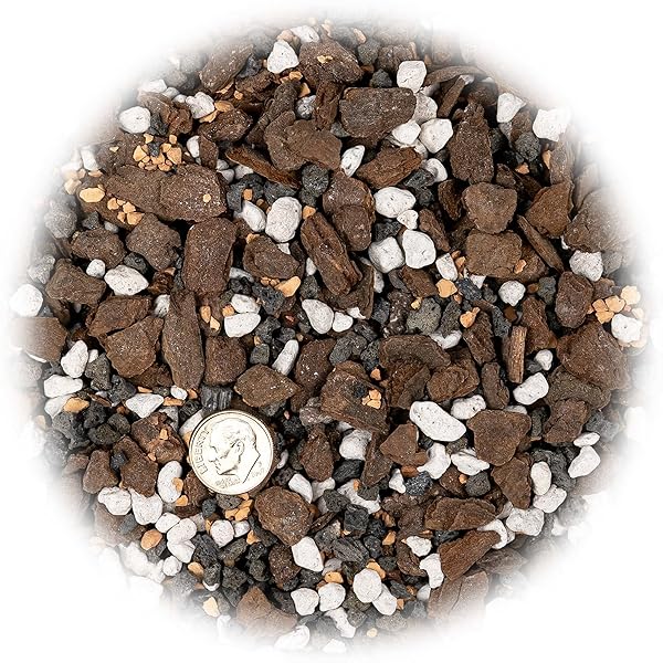 PREMIUM BONSAI SOIL ALL PURPOSE FAST DRAINING MIX – PUMICE, LAVA, CALCINED CLAY AND PINE BARK POTTING PRE MIXED BONSAI PLANT SOIL MIXTURE BY GARDENERA- MADE IN USA – (2 QUART BAG)