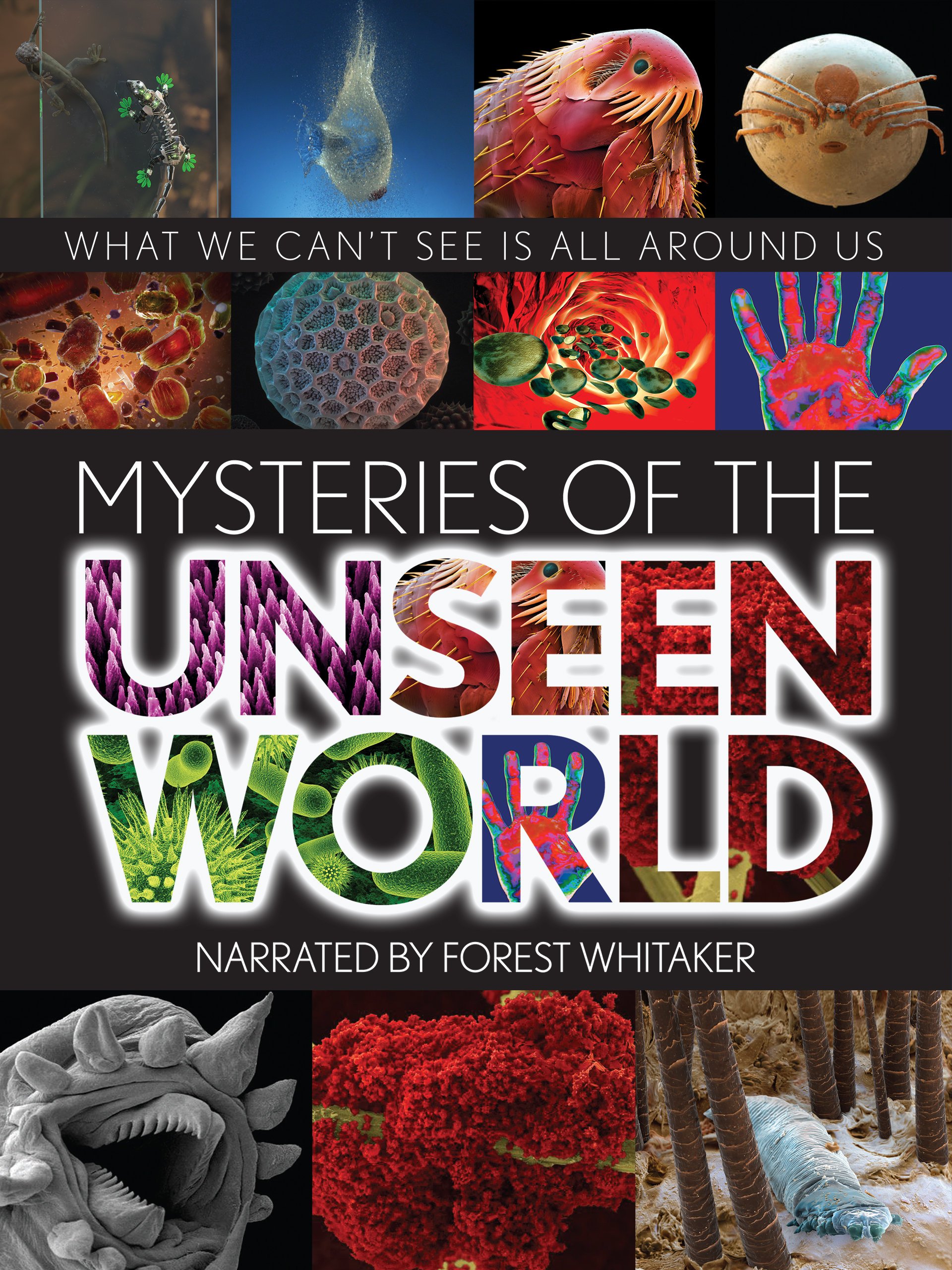 Watch Mysteries Of The Unseen World Prime Video