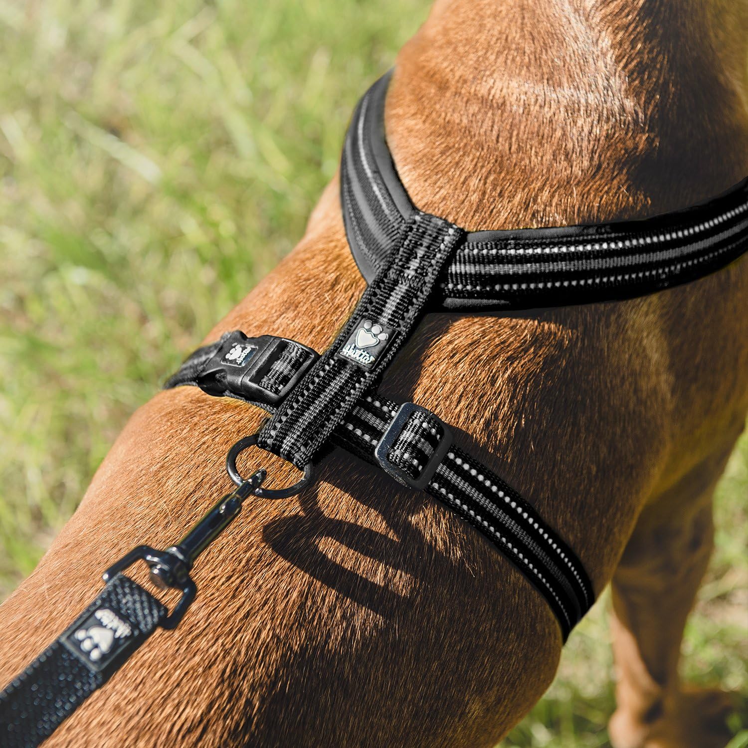 hurtta padded y harness