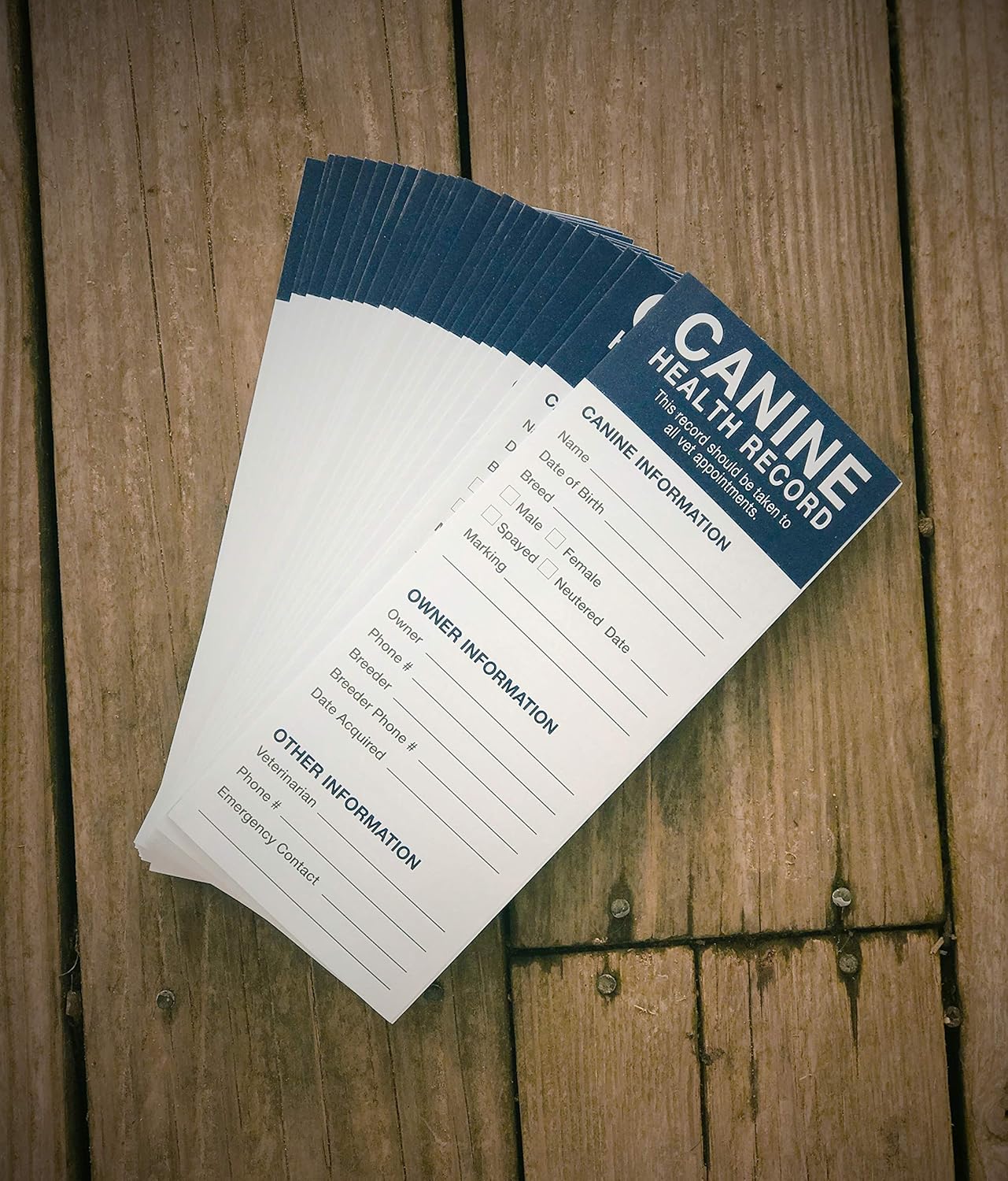 revival dog vaccines