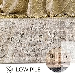 GENIMO 6x9 Area Rugs for Living Room, Machine