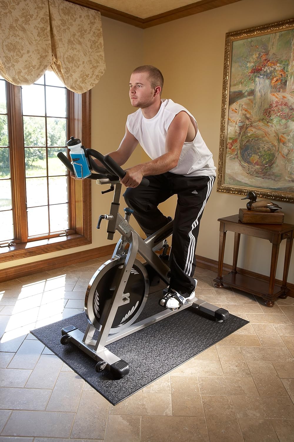 es600 indoor cycle