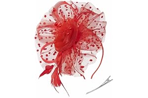ZIVYES Fascinators Hat for Women Tea Party Headband Kentucky Derby Wedding Cocktail Flower Mesh Feathers Hair Clip