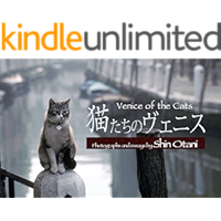 The Cats of Venice (Japanese Edition) book cover