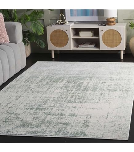 Amazon.com: SAFAVIEH Adirondack Collection Area Rug - 6' x 9