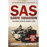Sabre Squadron book cover