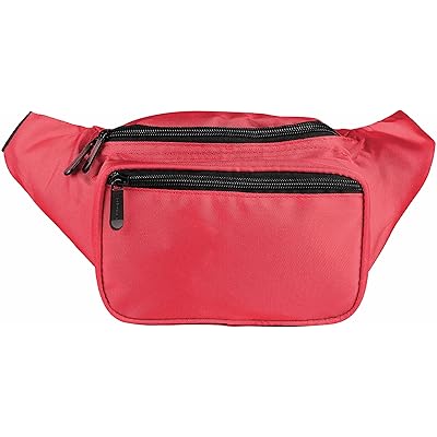 sojourner fanny pack